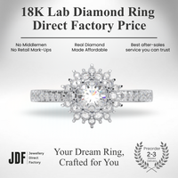 Aurora Halo Diamond Ring