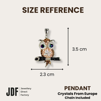 Owl Pendant with Crystal From Europe