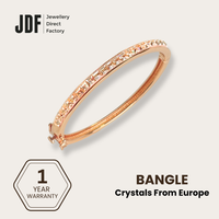 Matrix Bangle with Crystal From Europe