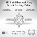 Starburst Diamond Halo Ring