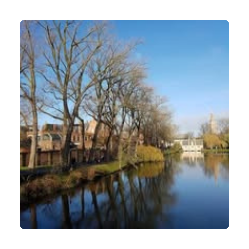 Customer review / Testimonials